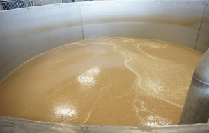 Bardstown Bourbon Company Fermenting Mash